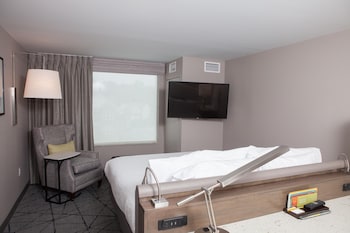 Room, 1 King Bed, Accessible (Roll-in Shower)