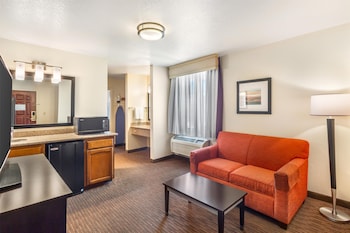 Suite, 1 King Bed, Non Smoking, Refrigerator & Microwave (with Sofabed)