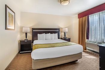 Suite, 1 King Bed, Non Smoking, Balcony (with Sofabed)