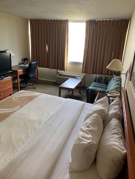 Standard Room, 1 King Bed, Non Smoking