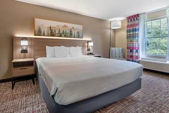Standard Room, 1 King Bed, Non Smoking