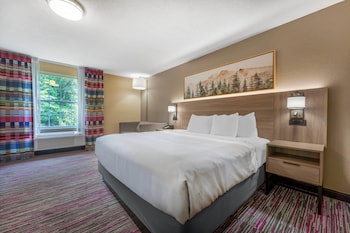Suite, 1 King Bed with Sofa bed, Non Smoking