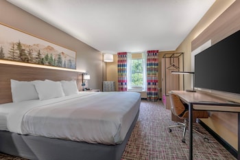 Standard Room, 1 King Bed, Non Smoking