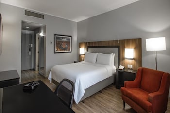Room, 1 King Bed