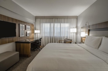 Executive Room, 1 King Bed