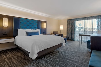 Standard Room, 1 King Bed with Sofa bed, Non Smoking, Kitchenette (with Sofabed)