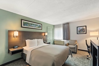 Room, 1 Queen Bed, Accessible, Non Smoking