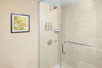 Premium Room, 1 King Bed, Accessible, Mountain View (Hearing)