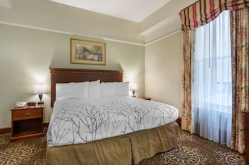 Standard Room, 1 King Bed, Non Smoking (Larger Room;with Sofabed)