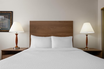 Standard Room, 1 Queen Bed, Accessible, Non Smoking (Walk-in Shower)