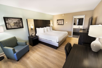 Standard Room, 1 King Bed, Accessible, Non Smoking