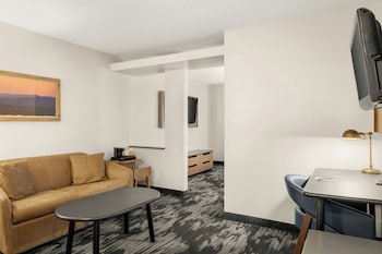 Suite, 1 King Bed with Sofa bed