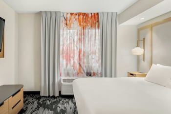 Suite, 1 King Bed with Sofa bed