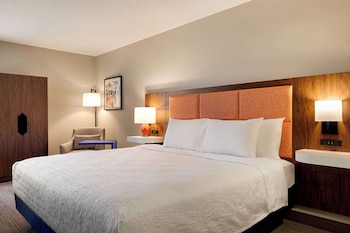 Standard Room, 1 King Bed, Non Smoking (Hearing Accessible)