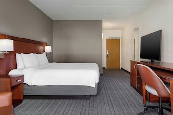 Room, 1 King Bed with Sofa bed, Hearing Accessible