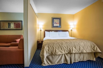 Room, 1 King Bed, Accessible, Non Smoking