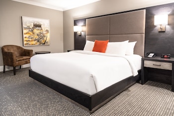 Premium Room, 1 King Bed, River View