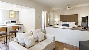 Suite, 1 King Bed