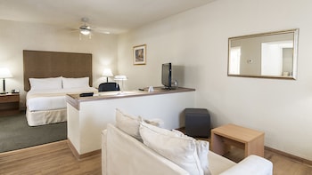 Suite, 1 King Bed