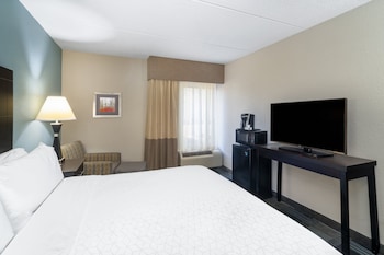 Standard Room, 1 King Bed (LEISURE)