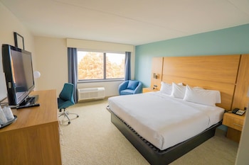 Deluxe Room, 1 King Bed, Non Smoking