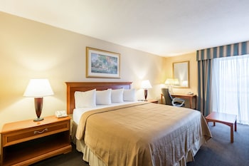 Room, 1 King Bed, Non Smoking