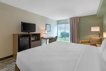 Room, 1 King Bed, Accessible, Non Smoking