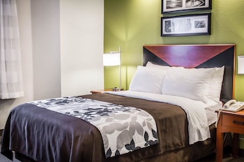 Room, 1 Double Bed, Accessible, Non Smoking