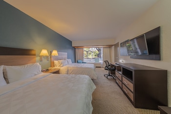 Standard Room, 2 Double Beds, Pool View