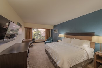 Standard Room, 1 King Bed, Balcony, Pool View