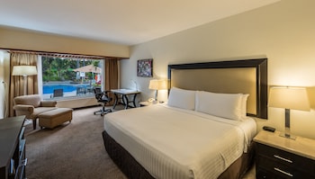 Standard Room, 1 King Bed, Balcony, Pool View