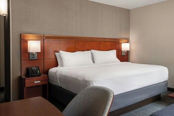 Room, 1 King Bed