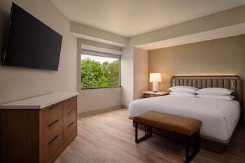 Suite, 1 King Bed, Bathtub