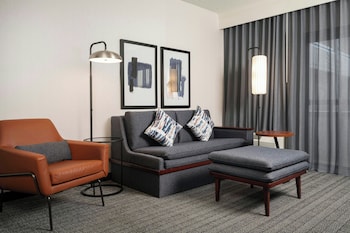 Suite, 1 King Bed with Sofa bed