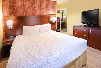 Suite, 1 King Bed with Sofa bed (Hearing Accessible)