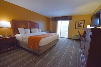 Standard Room, 1 King Bed, Non Smoking, Refrigerator & Microwave