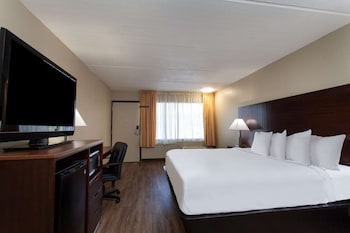 Room, 1 King Bed, Accessible, Smoking (Mobility/Hearing, Roll-in shower)