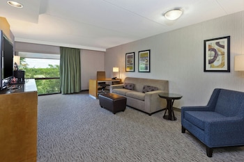 Suite, 1 Bedroom