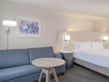 Standard Room, 1 King Bed with Sofa bed