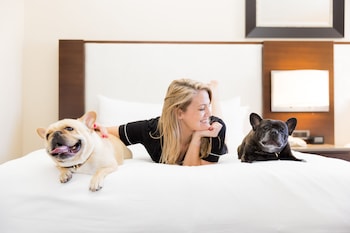 Skyline View Room, 2 Double Beds (Floors 20-44)