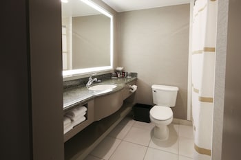 Room, 1 King Bed (Mobility Accessible, Roll-in Shower)