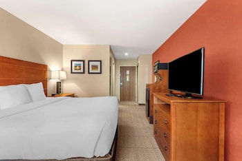 Standard Room, 1 King Bed, Non Smoking