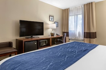 Standard Room, 1 King Bed, Non Smoking