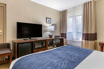Standard Room, 1 King Bed, Non Smoking