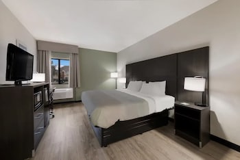 Standard Room, 1 King Bed, Non Smoking