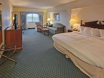 Room, 1 King Bed