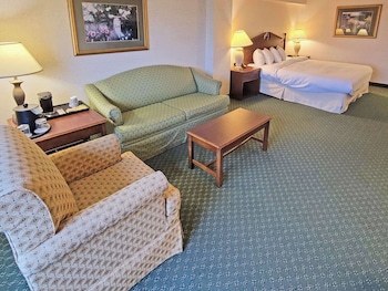 Room, 1 King Bed