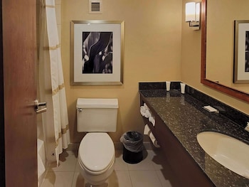 Room, 1 King Bed