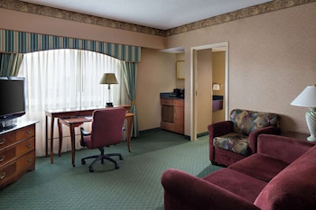 Room, 1 King Bed, Accessible