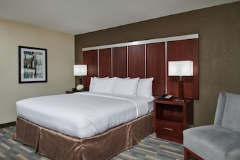 Room, 1 King Bed, Accessible (Roll-In Shower, Mobility & Hearing)